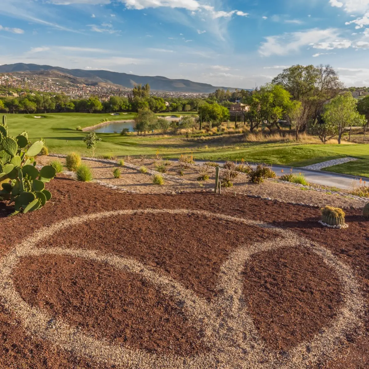Detalles del paisaje y jardinería