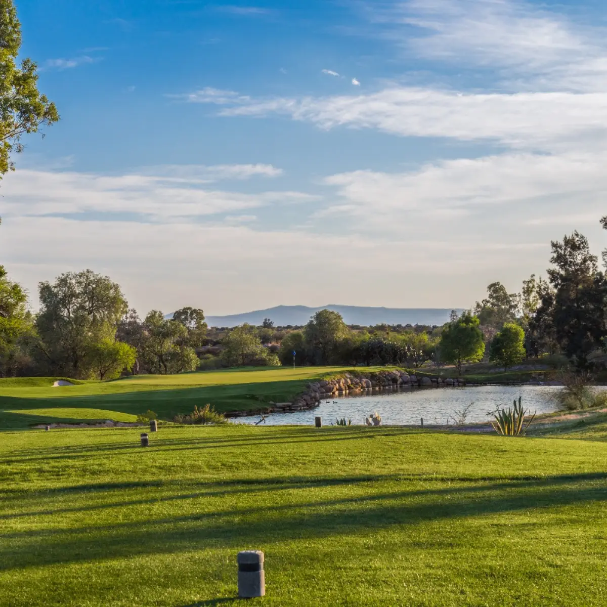 Amenidades y áreas verdes
