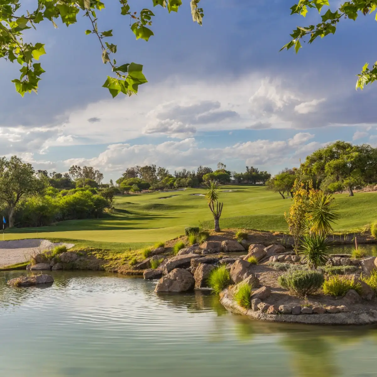 Campo y espejo de agua